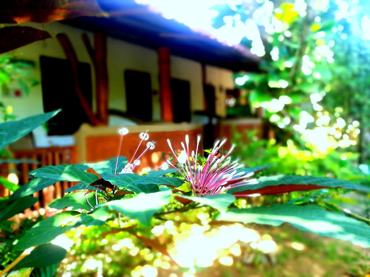 Sisira Homestay - Sigirîya Extérieur photo